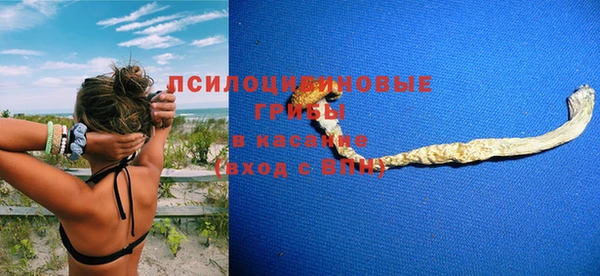 ГАЛЛЮЦИНОГЕННЫЕ ГРИБЫ Баксан