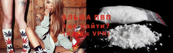 бошки Чегем