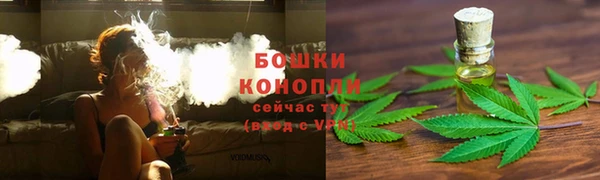 бошки Чегем