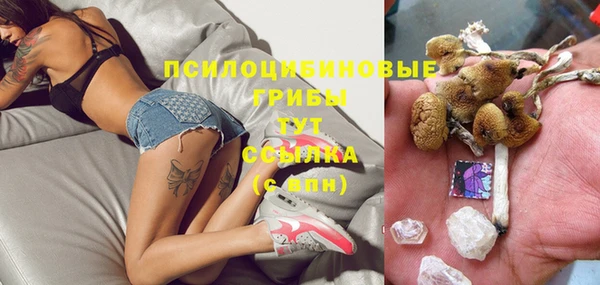 ГАЛЛЮЦИНОГЕННЫЕ ГРИБЫ Баксан