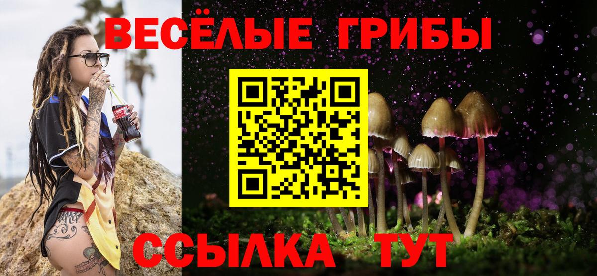 Галлюциногенные грибы GOLDEN TEACHER  Псилоцибиновые грибы GOLDEN TEACHER  Вход с VPN  Карталы 