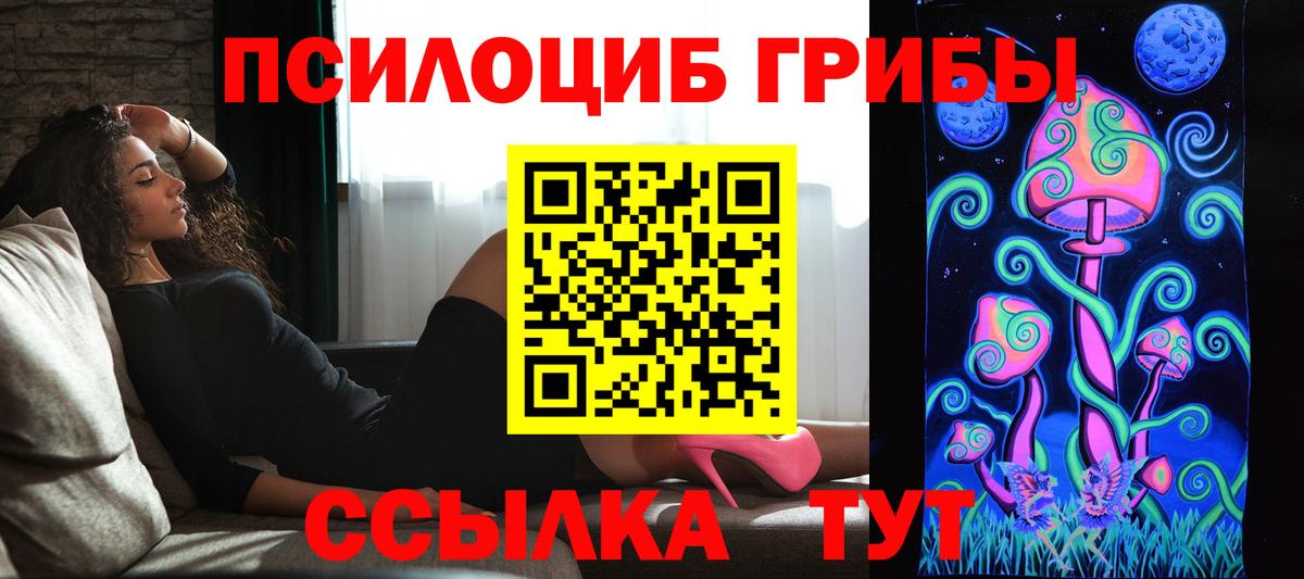 Псилоцибиновые грибы Psilocybe Карталы