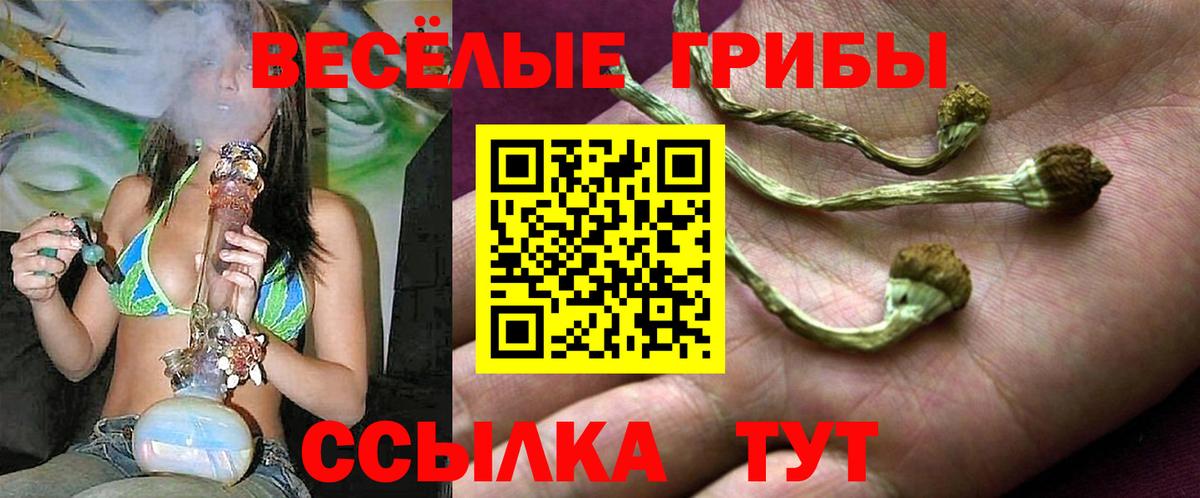 Псилоцибиновые грибы прущие грибы Карталы