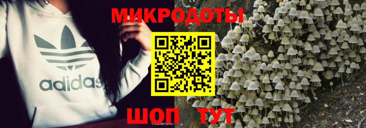 Карталы  Галлюциногенные грибы Magic Shrooms  Вход с VPN 