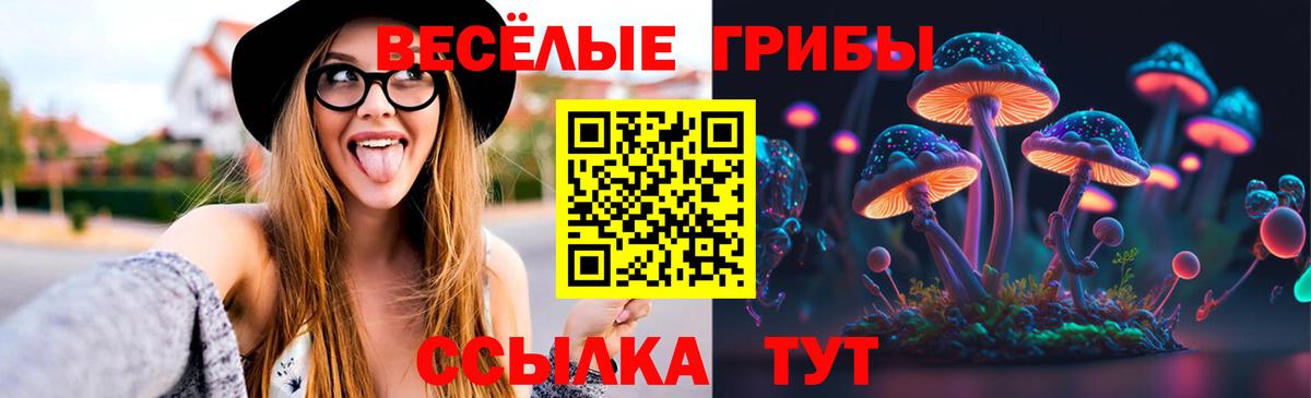 Галлюциногенные грибы GOLDEN TEACHER  Карталы  Псилоцибиновые грибы мухоморы 