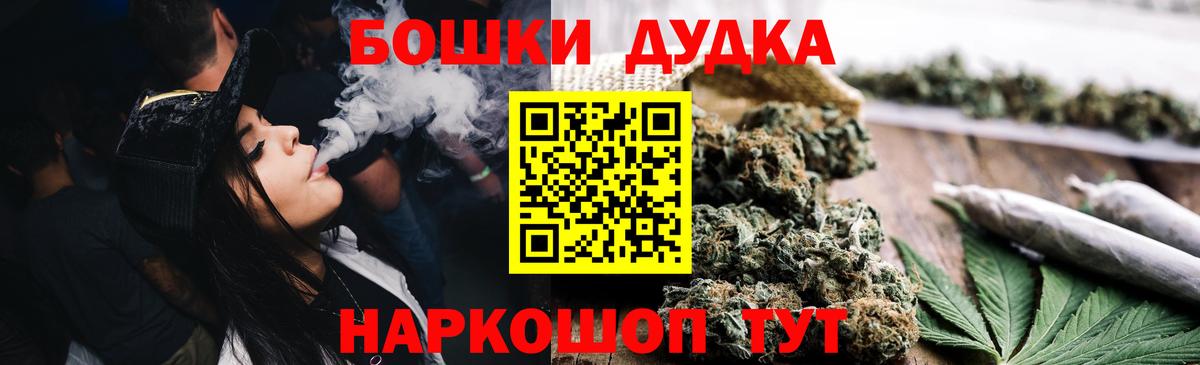 Каннабис семена  Каннабис SATIVA & INDICA  Марихуана семена  Конопля OG Kush  Карталы 